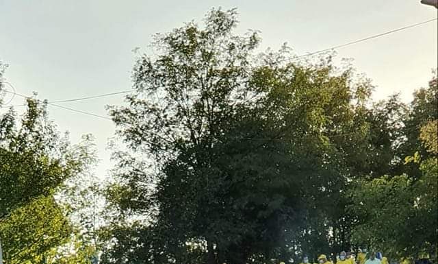 Cristina Cilibiu, despre victoria de la Turceni