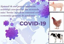 Mâine, un nou termen la APIA!