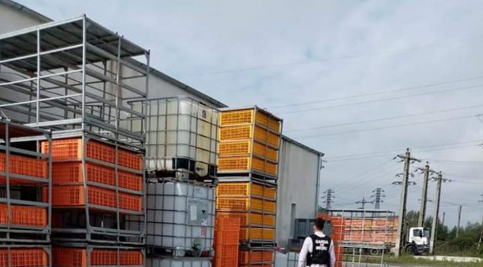 Amendă de 15.000 de lei pentru ferma de pui din Târgu Jiu