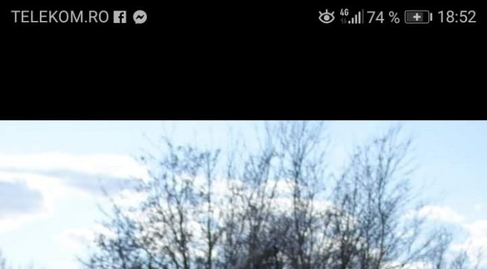 Minoră de 12 ani, căutată de polițiști, după ce a plecat cu un ATV în pădure