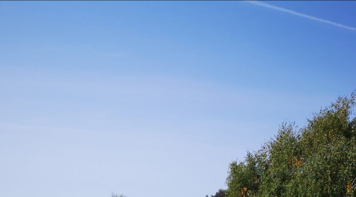 Galerie foto Transalpina Challenge