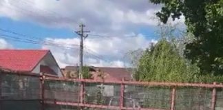 17 percheziții în Gorj la mafia lemnului