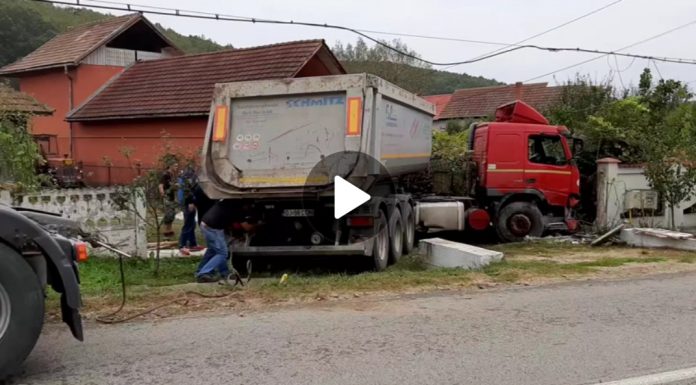 Video: Un trucker a intrat în curtea unui cetățean din Tunși! Lângă casa omului se organiza o nuntă