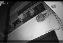 Video: Dovezi ale acțiunii denigratoare de la Motru! Ziarele, împrăștiate după ora 4 dimineața