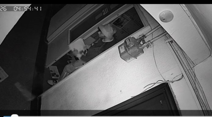 Video: Dovezi ale acțiunii denigratoare de la Motru! Ziarele, împrăștiate după ora 4 dimineața