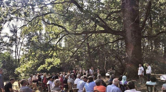 Câștigătorii Atelierului Național de poezie “Serile la Brădiceni”