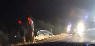 Accident la Sadu – Un tânăr a ajuns la spital, după ce mașina în care se afla a acroșat un porc mistreț