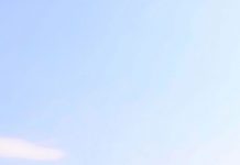 Polițiștii locali târgujieni, cu ochii pe terenurile unde crește ambrozia