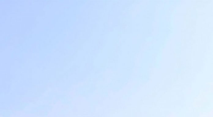 Polițiștii locali târgujieni, cu ochii pe terenurile unde crește ambrozia