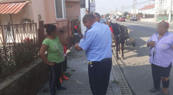 Proprietarul unui atelaj, amendat de agenții de la Locală