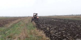 Agricultura pe înțelesul tuturor – Făceți-vă un mare bine, arați terenul toamna