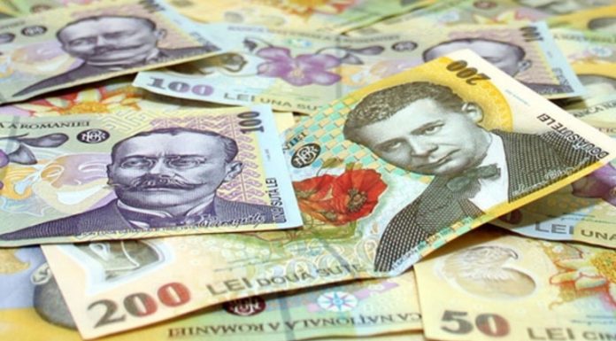 Noi ajutoare financiare, plătite de APIA