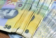 Bani de la guvern pentru Tismana, Novaci și Berlești