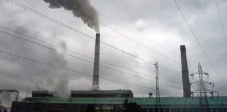 CE Oltenia achiziționează servicii de ecarisaj