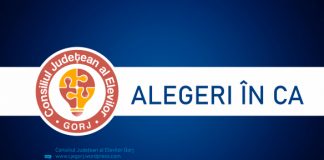 Au început alegerile pentru desemnarea reprezentanților elevilor în CA-urile școlilor