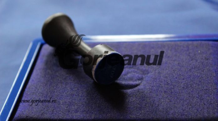 Rezultate parțiale: PSD a obținut nouă primării noi în Gorj și a menținut alte câteva zeci!