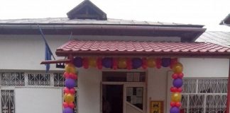 Directoarea bătăușă de la Grădinița nr.1 Târgu-Jiu revine pe post! IȘJ Gorj pierde definitiv procesul