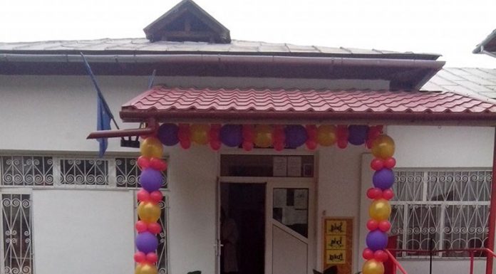 Directoarea bătăușă de la Grădinița nr.1 Târgu-Jiu revine pe post! IȘJ Gorj pierde definitiv procesul