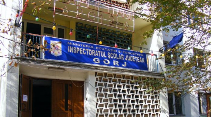 Elevii de 10 la examenele naționale, premiați mâine