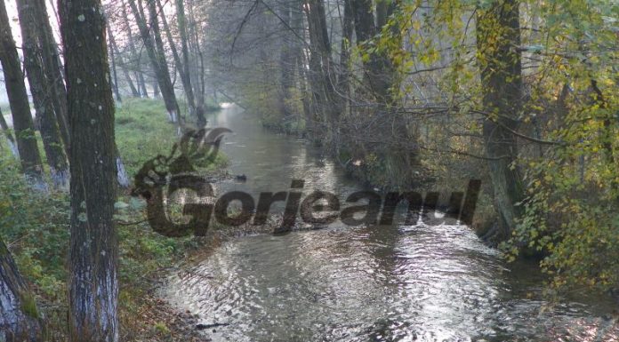 Ţinutul „bolboroaselor”