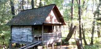 LOCURI DIN ȚARA LUI BRÂNCUȘI – ŢINUTUL IZVOARELOR