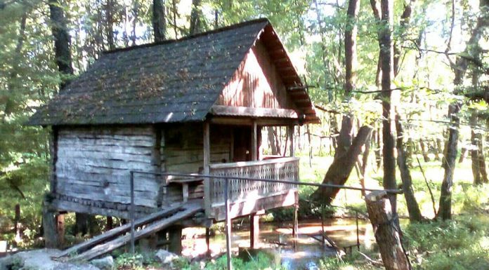 LOCURI DIN ȚARA LUI BRÂNCUȘI – ŢINUTUL IZVOARELOR