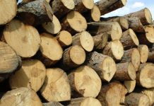 Material lemnos, confiscat de polițiști