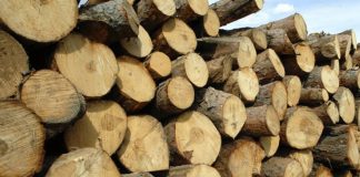 Material lemnos, confiscat de polițiști