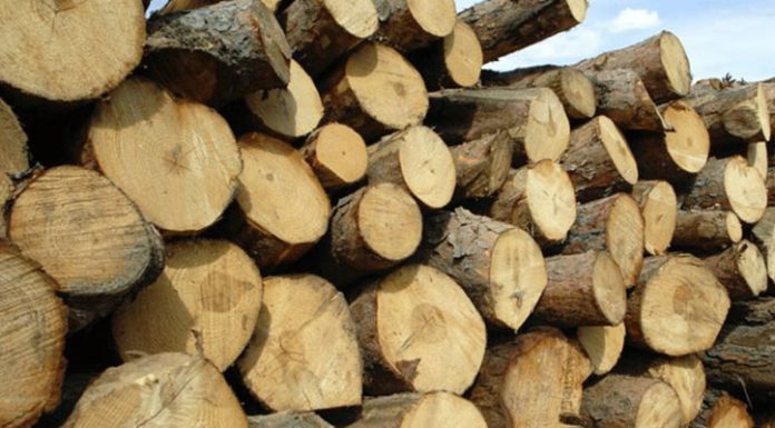 Material lemnos, confiscat de polițiști