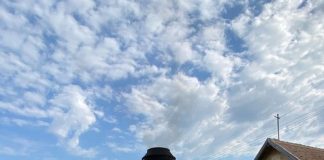 Iulian Popescu, discuție despre mocănița de la Gorj