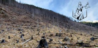 Protest împotriva tăierilor ilegale de păduri, la Târgu-Jiu