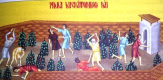 Lumina, şi Adevărul, şi Viaţa – Dumnezeu a zidit lumea care este asemănată cu via pe care a sădit-o, dar, n-a lăsat-o la întâmplare, ci, mereu să fie ocrotită de pronia divină!