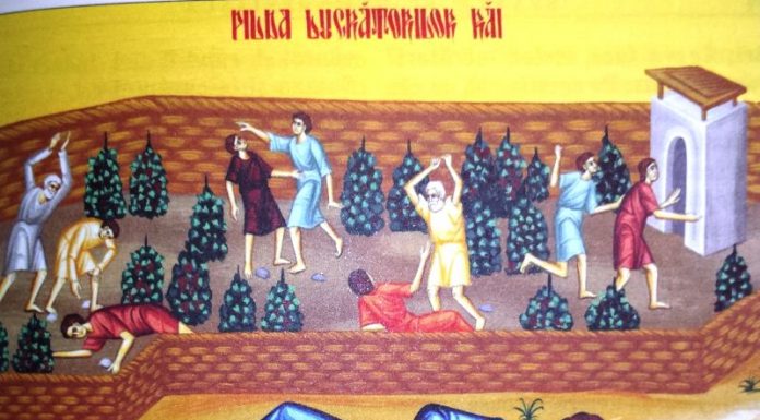 Lumina, şi Adevărul, şi Viaţa – Dumnezeu a zidit lumea care este asemănată cu via pe care a sădit-o, dar, n-a lăsat-o la întâmplare, ci, mereu să fie ocrotită de pronia divină!