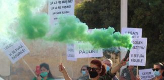 Defrișările ilegale i-au scos pe gorjeni în stradă, la Târgu-Jiu! O nouă acțiune, pe 10 octombrie