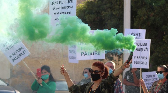 Defrișările ilegale i-au scos pe gorjeni în stradă, la Târgu-Jiu! O nouă acțiune, pe 10 octombrie