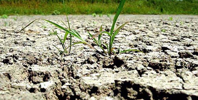 APIA a demarat plata pentru secetă