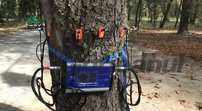 „Tomograful copacilor”, deja funcțional în Parcul Central!
