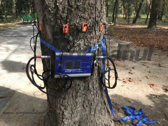 tomograful copacilor (1)