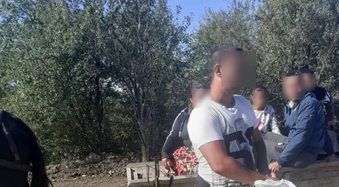 Căruțași din Târgu Jiu, amendați de agenții de la Locală