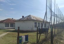 VIDEO: Liceul din Stoina, într-o stare deplorabilă! Clădirea în paragină, terenul de sport o ruină