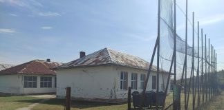 VIDEO: Liceul din Stoina, într-o stare deplorabilă! Clădirea în paragină, terenul de sport o ruină