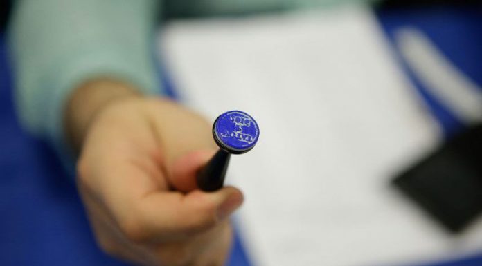 Cine conduce BEC Gorj pentru parlamentare