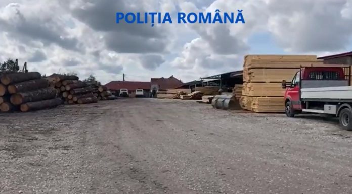 FOTO: Peste 150 mc cherestea și 18 mc material lemnos, confiscați de polițiști