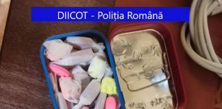 Percheziții în Gorj și alte trei județe, pentru destructurarea unei reţele care se ocupa cu traficul de migranţi şi droguri