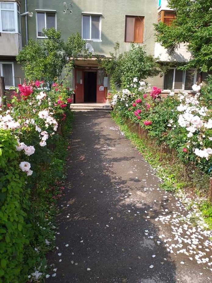 122707166_1030574984101870_1093497668957398021_n