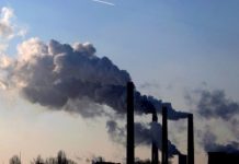 Socialismul verde în Europa, nu cortina de Fier a ecologiei, cum s-a spus