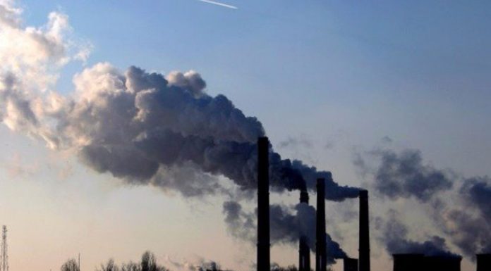 Socialismul verde în Europa, nu cortina de Fier a ecologiei, cum s-a spus