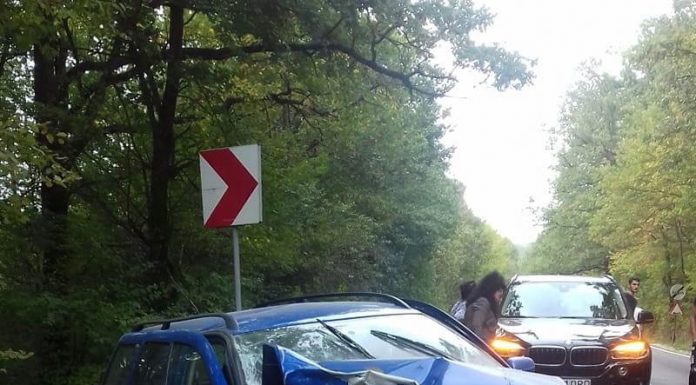 Accident cu victime la Lelești