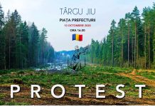 Un nou protest împotriva defrișărilor ilegale, mâine, la Târgu Jiu
