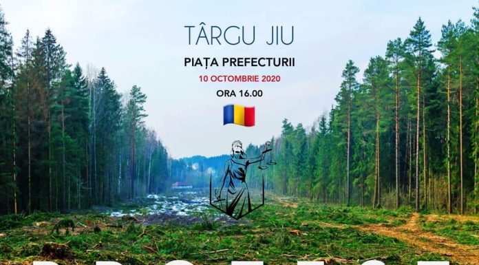 Un nou protest împotriva defrișărilor ilegale, mâine, la Târgu Jiu